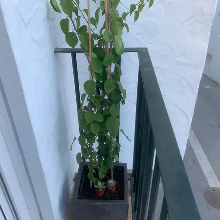 Διαμέρισμα Bateles